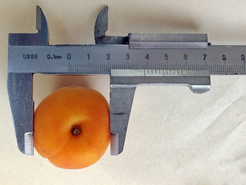 Evaluating size and weight of fresh produce